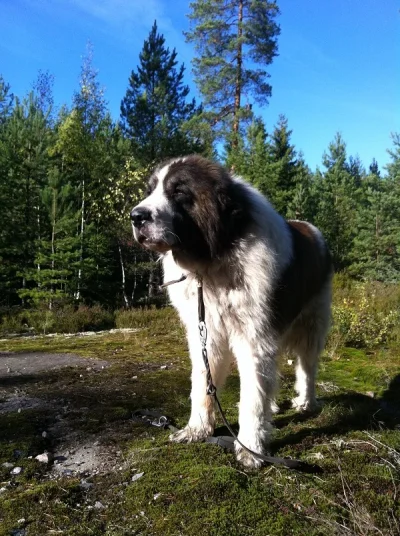 IMG_1990.webp IMG_1990.webp