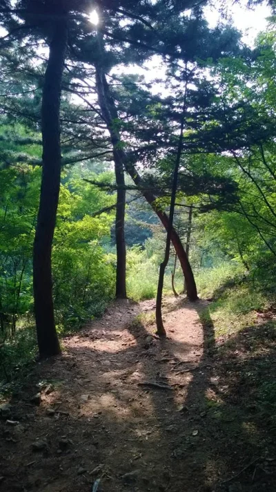 1383074_10152000703138729_1469114526_n.webp 1383074_10152000703138729_1469114526_n.webp