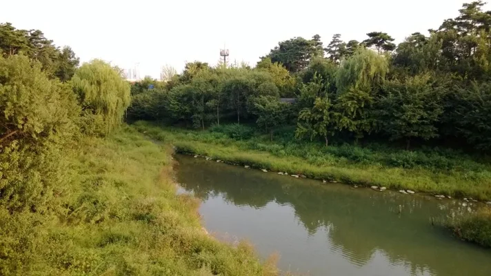 1391524_10152000704238729_134751357_n.webp 1391524_10152000704238729_134751357_n.webp