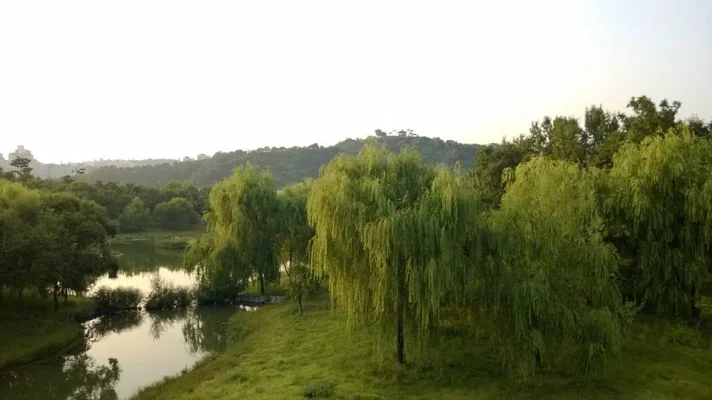 1377314_10152000705938729_260795191_n.webp 1377314_10152000705938729_260795191_n.webp