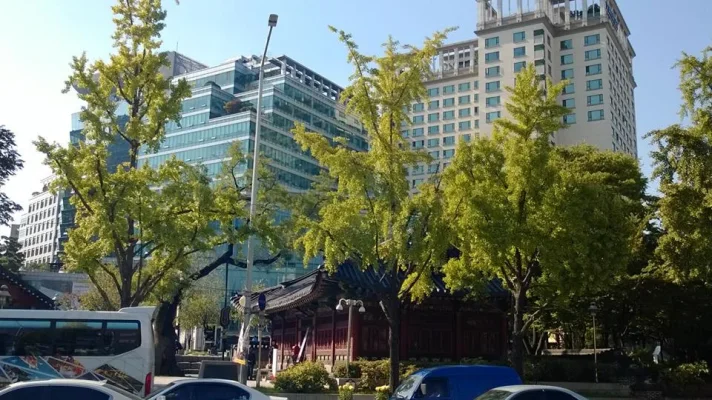 1385557_10151985899573729_665578472_n.webp 1385557_10151985899573729_665578472_n.webp