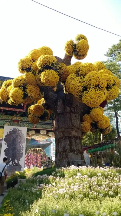 1385407_10151985899803729_704301205_n.webp 1385407_10151985899803729_704301205_n.webp