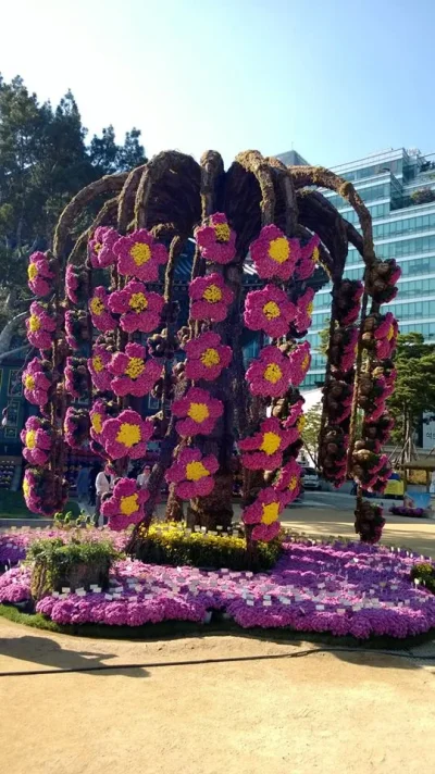 1380540_10151985900268729_1059683740_n.webp 1380540_10151985900268729_1059683740_n.webp