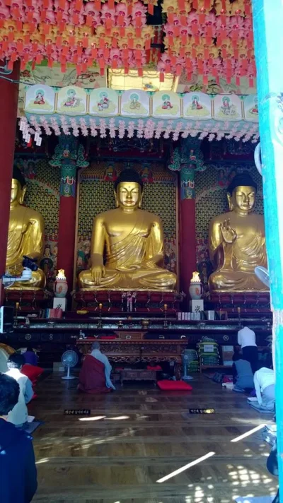 1385490_10151985900628729_641751523_n.webp 1385490_10151985900628729_641751523_n.webp