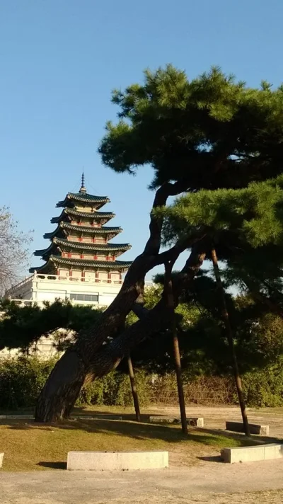 1381637_10151985908298729_769996388_n.webp 1381637_10151985908298729_769996388_n.webp