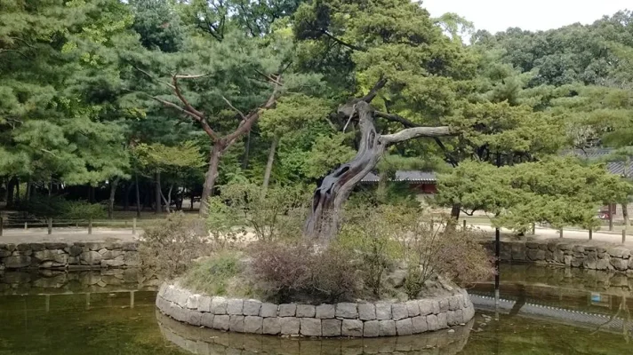 1012707_10152000812378729_1205104746_n.webp 1012707_10152000812378729_1205104746_n.webp