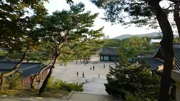 1378115_10152000813903729_725819409_n.webp 1378115_10152000813903729_725819409_n.webp