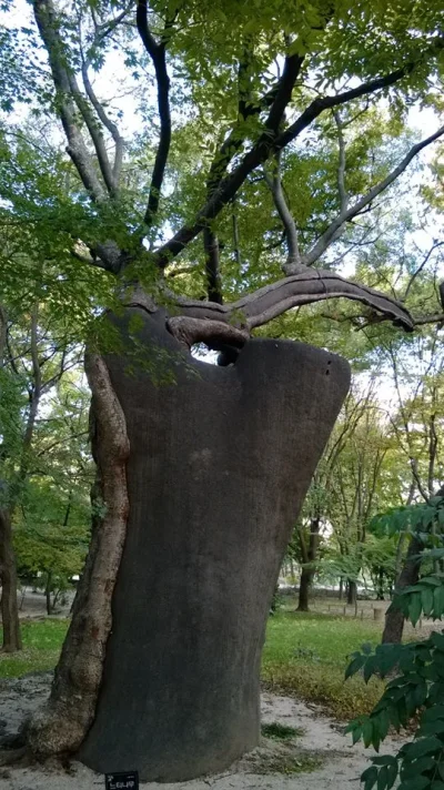 1378851_10152000813973729_1876320922_n.webp 1378851_10152000813973729_1876320922_n.webp