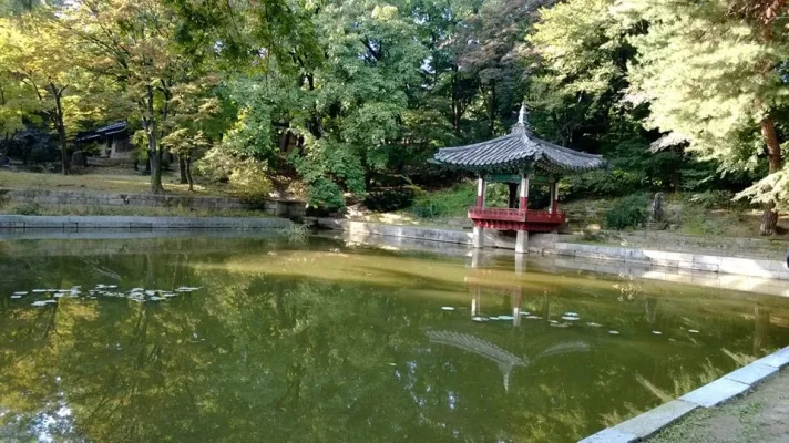 1380621_10152000813158729_442671430_n.webp 1380621_10152000813158729_442671430_n.webp