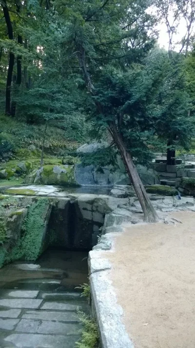 1378886_10152000813418729_1535414067_n.webp 1378886_10152000813418729_1535414067_n.webp