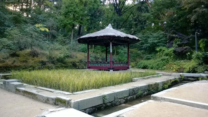 1448_10152000813478729_48294031_n.webp 1448_10152000813478729_48294031_n.webp