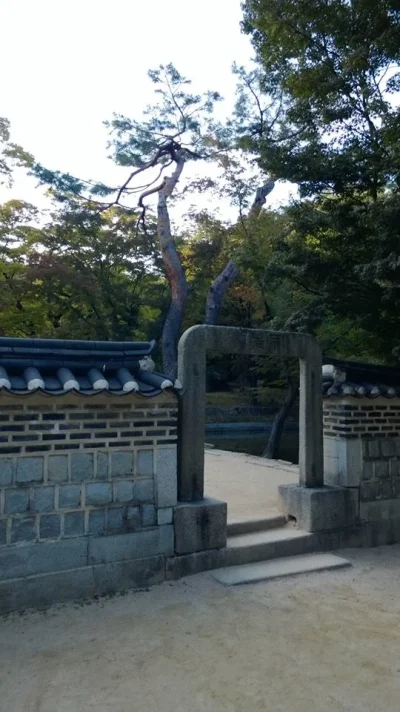 1374331_10152000813638729_1296455846_n.webp 1374331_10152000813638729_1296455846_n.webp