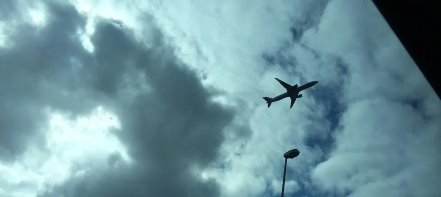 IMG_2945.webp IMG_2945.webp