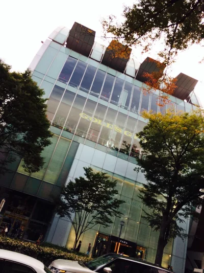 IMG_3069.webp IMG_3069.webp