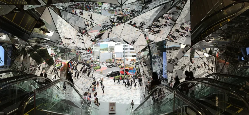 IMG_3072.webp IMG_3072.webp