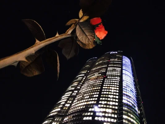 IMG_3080.webp IMG_3080.webp