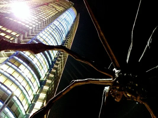 IMG_3087.webp IMG_3087.webp