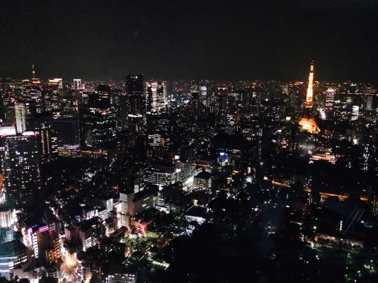 IMG_3095.webp IMG_3095.webp