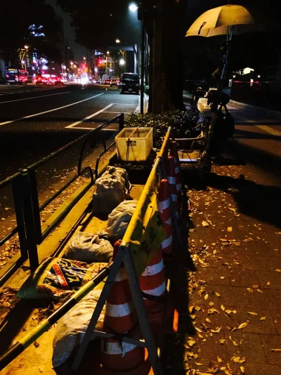 IMG_3300.webp IMG_3300.webp