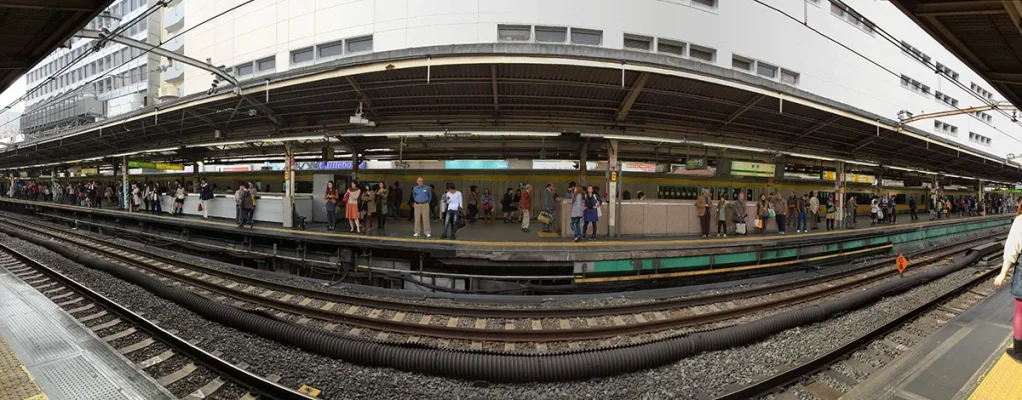 IMG_3323.webp IMG_3323.webp