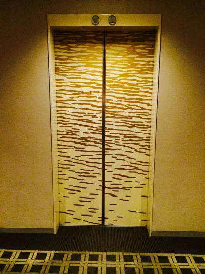 IMG_3369.webp IMG_3369.webp