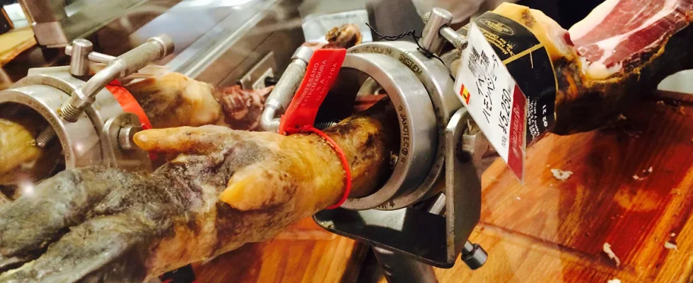 IMG_3448.webp IMG_3448.webp