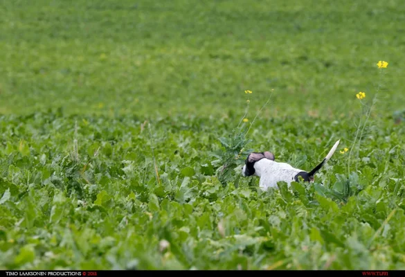 TLP_0091.webp TLP_0091.webp