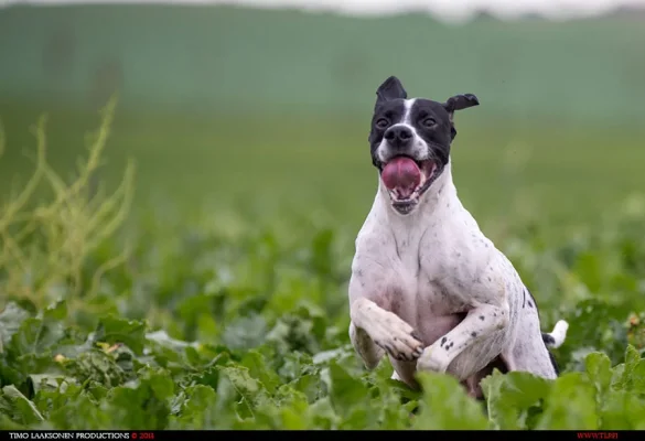 TLP_0117.webp TLP_0117.webp