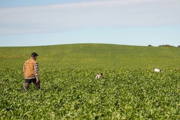 TLP_0254s.webp TLP_0254s.webp