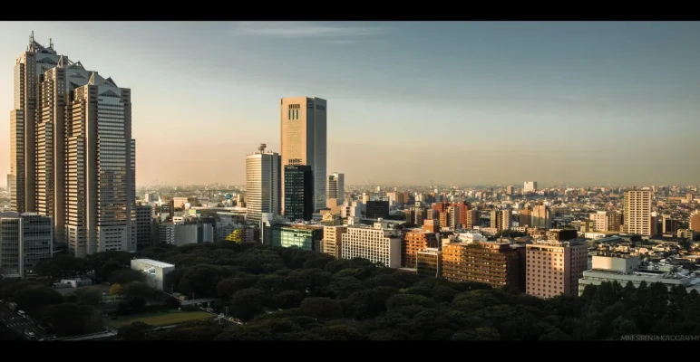 800_6914.webp 800_6914.webp