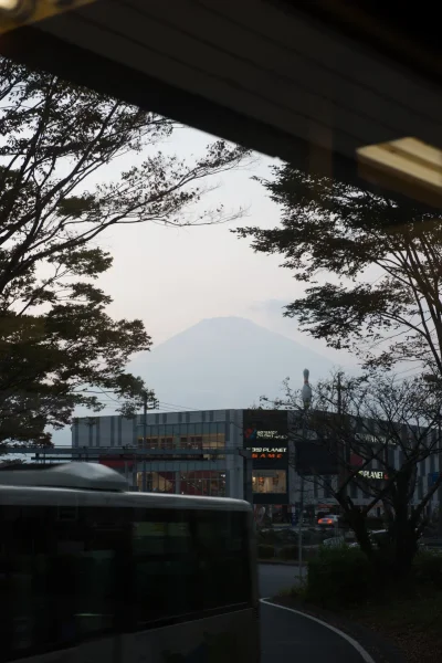 800_6931.webp 800_6931.webp