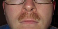 movember4.jpg