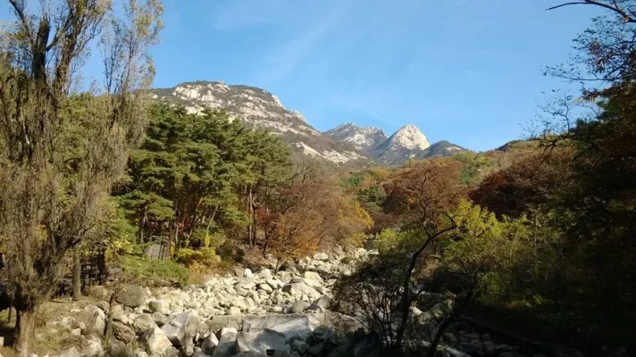 1471271_10152068453703729_1407645843_n.webp 1471271_10152068453703729_1407645843_n.webp