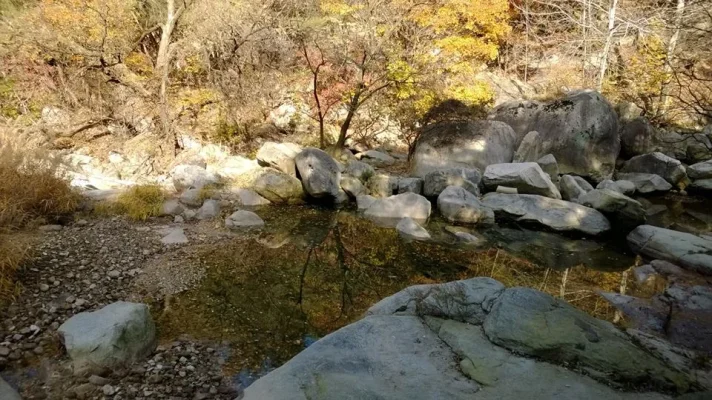 1454858_10152068454028729_374315575_n.webp 1454858_10152068454028729_374315575_n.webp