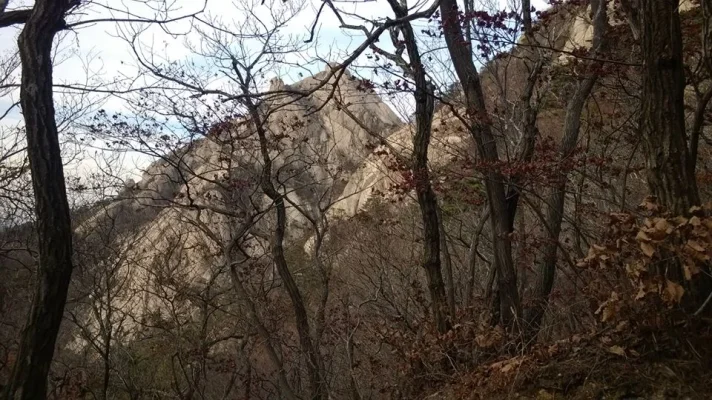 1379665_10152068456838729_146058966_n.webp 1379665_10152068456838729_146058966_n.webp