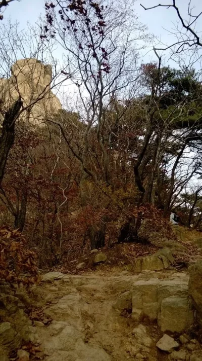 1466022_10152068456943729_1863558042_n.webp 1466022_10152068456943729_1863558042_n.webp