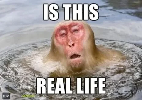 Is_this_real_life.webp Is_this_real_life.webp