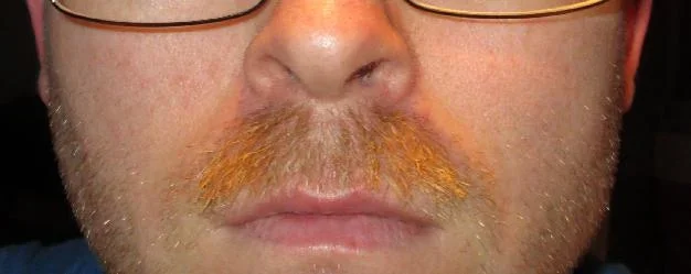 movember5.webp