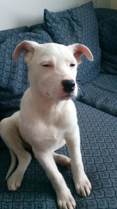 Milad.webp Milad.webp