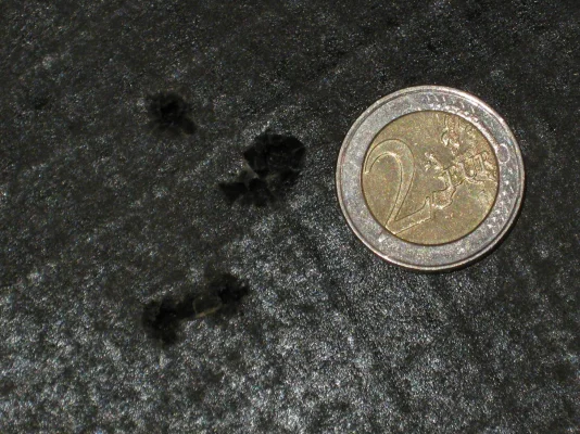 IMG_5015.webp IMG_5015.webp