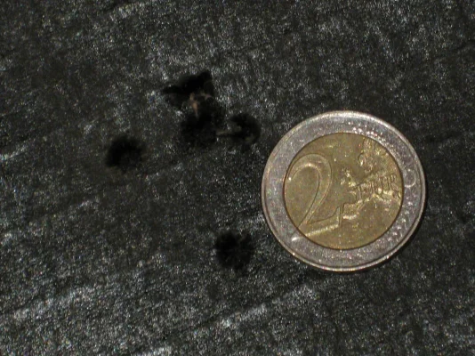 IMG_5016.webp IMG_5016.webp