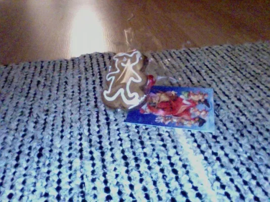 Kuva otettu 24.12.2013 klo 15.34.webp