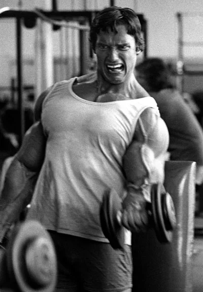 arnold-arm-training.webp