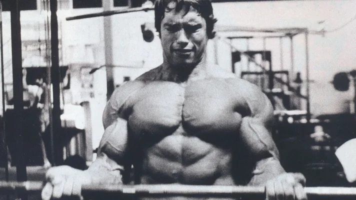 arnold-schwarzenegger-muscles-training-654839.webp