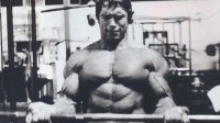 arnold-schwarzenegger-muscles-training-654839.jpg