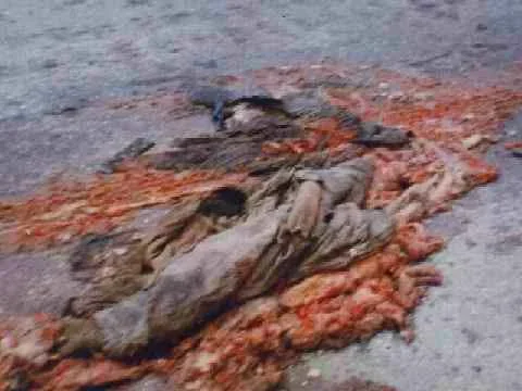 An Iraqi after meeting a tank.webp