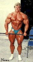 12955d1239847488-ten-most-favorite-bodybuilders-matt_mendenhall_9.jpg