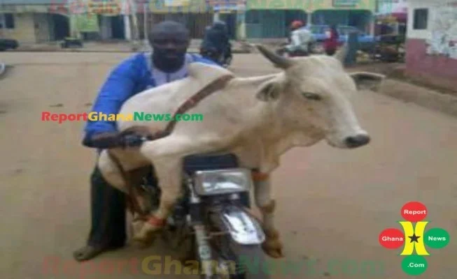 Ghana-News16-653x400.webp Ghana-News16-653x400.webp