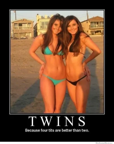 twins-because-4-tits-are-better-than-one.webp