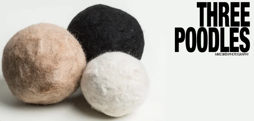 3poodles.webp
